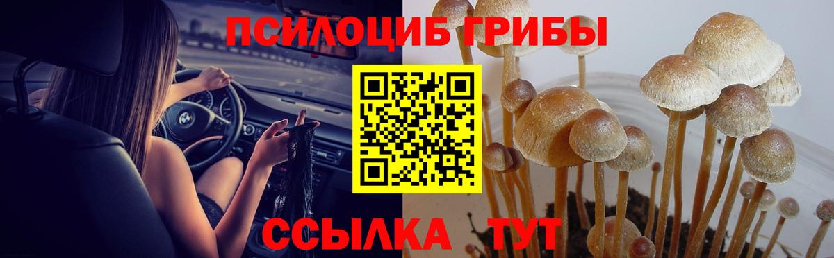 Выкса  Галлюциногенные грибы ЛСД  Псилоцибиновые грибы Cubensis  Вход с VPN 
